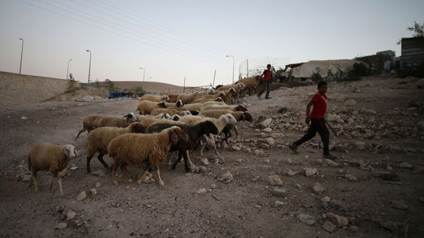 A Palestinian Bedouin boy herds sheep in the West Bank village of Al-Eizariya, near east of Jerusalem September 18. 2014.  REUTERS/Ammar Awad (WEST BANK - Tags: POLITICS ANIMALS) - RTR46SU0