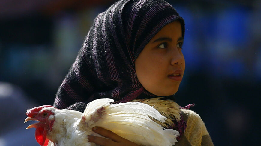 A girl carries a chicken after buying it  on the outskirts of Cairo, December 4, 2014. Another Egyptian has died of H5N1 bird flu, bringing the total number of deaths in Egypt from the virus to seven this year out of 14 identified cases, the health ministry said on Wednesday. REUTERS/Amr Abdallah Dalsh (EGYPT - Tags: ANIMALS ENVIRONMENT HEALTH) - RTR4GPDG