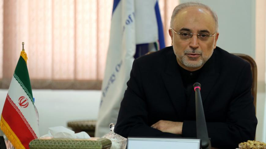 Head of Iran's Atomic Energy Organisation Ali Akbar Salehi (L) speaks to the press during his meeting with International Atomic Energy Agency (IAEA) Director General Yukiya Amano (unseen) in Tehran on November 11, 2013. Amano arrived in the Iranian capital to discuss Iran's nuclear programme after top world diplomats fail to clinch a long-sought deal to curb Tehran's nuclear activities but insist they are narrowing the gaps. AFP PHOTO/ATTA KENARE        (Photo credit should read ATTA KENARE/AFP/Getty Images
