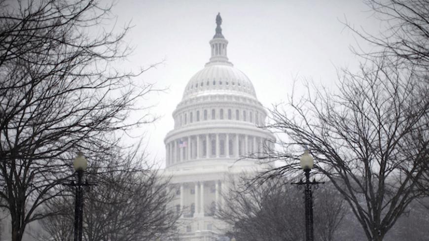 A couple walks the grounds of the U.S. Capitol Building as snow falls in Washington, January 30, 2010. A winter storm blew across the Eastern Coast of the United States on Saturday, bringing 6 inches (15 centimetres) of fresh snow to the nation's capital.      REUTERS/Jason Reed   (UNITED STATES - Tags: ENVIRONMENT) - RTR29NXB
