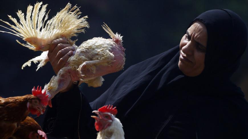 A woman examines a live chicken before buying it on the outskirts of Cairo, December 4, 2014. Another Egyptian has died of H5N1 bird flu, bringing the total number of deaths in Egypt from the virus to seven this year out of 14 identified cases, the health ministry said on Wednesday. REUTERS/Amr Abdallah Dalsh (EGYPT - Tags: ANIMALS ENVIRONMENT HEALTH) - RTR4GPFL