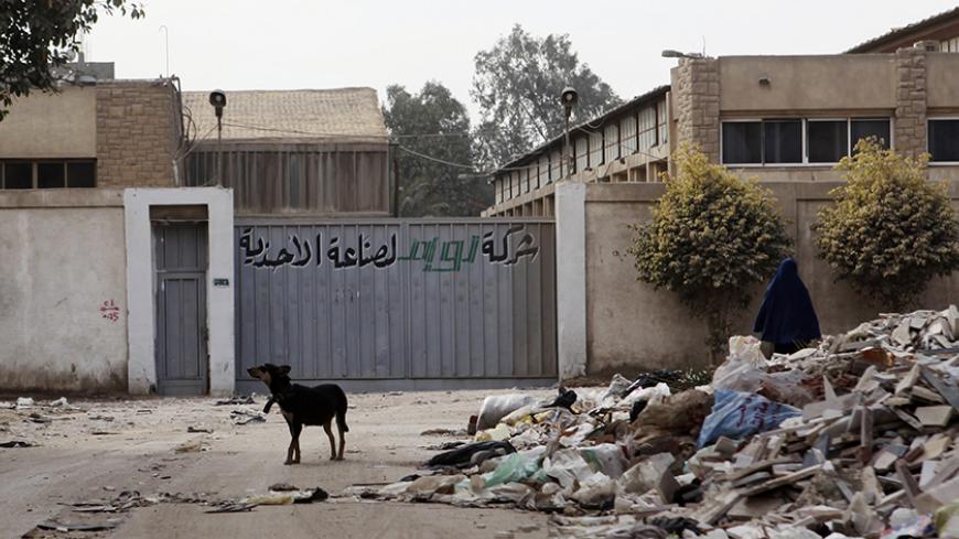A dog walks outside a factory, which was closed down, on the outskirts of Cairo, February 26, 2013. The factory, is one of thousands that have fallen victim to the instability of post-revolution Egypt. Many that remain open are plagued by power cuts, strikes, poor security, and difficulty securing loans in credit markets where they are squeezed out by an indebted government. The plight of Egypt's industrialists points to the wide range of ways which the economic environment has deteriorated in the two years