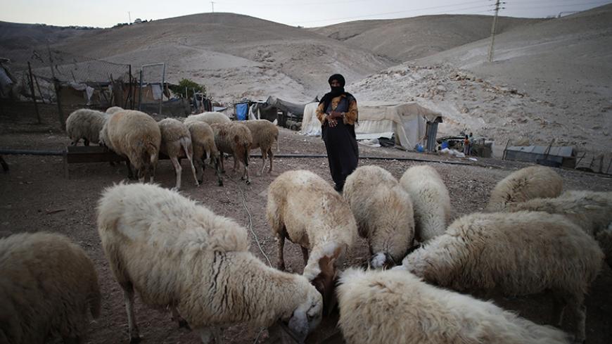 A Palestinian Bedouin woman stands next to her sheep in the West Bank village of Al-Eizariya, near east of Jerusalem September 18. 2014.   REUTERS/Ammar Awad (WEST BANK - Tags: POLITICS ANIMALS TPX IMAGES OF THE DAY) - RTR46STW
