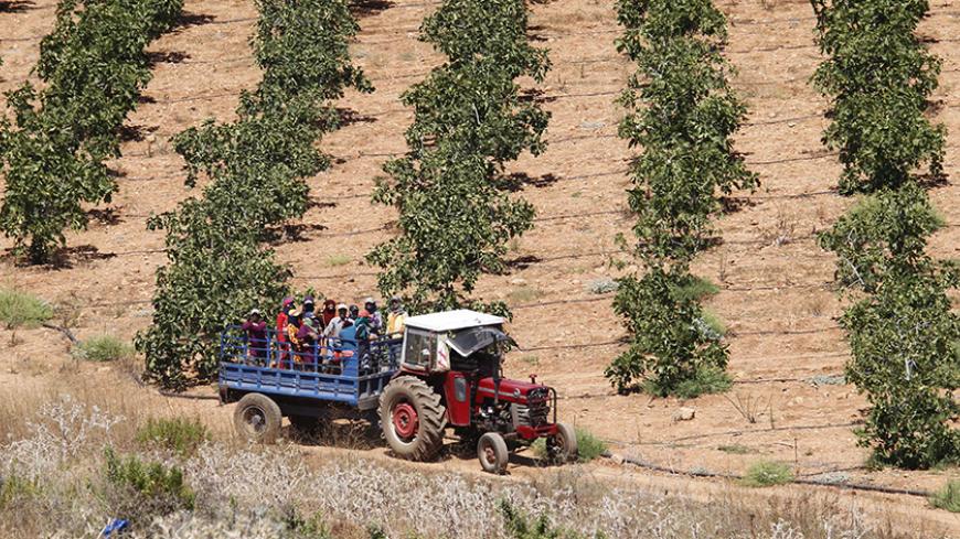 Syrian workers are seen on a pick-up truck at an agricultural field in Wazzani village near the Lebanese-Israeli border, in south Lebanon July 29, 2013. REUTERS/Ali Hashisho  (LEBANON - Tags: POLITICS AGRICULTURE) - RTX123UI