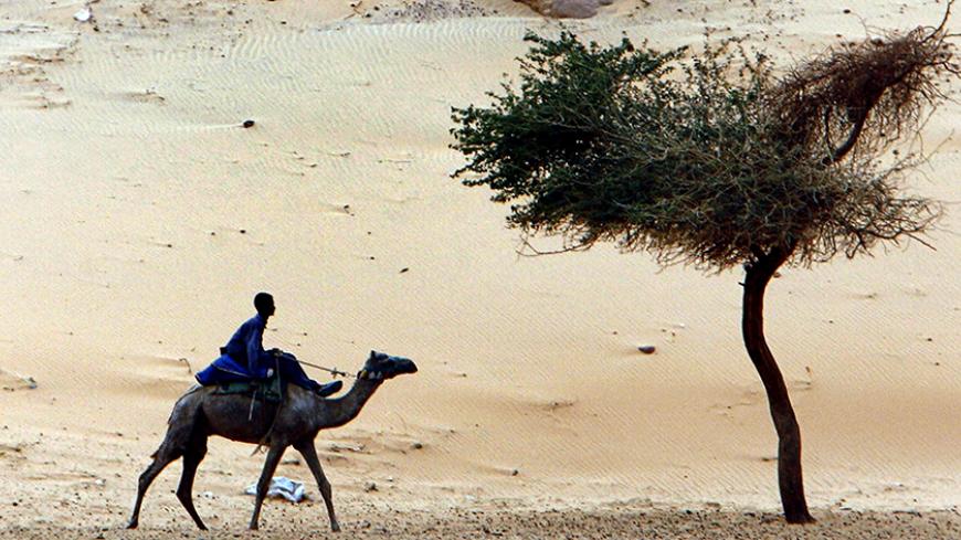 A Nubian boy rides a camel at the Nile river bank in Aswan, some 1200 km (746 miles) south of Cairo, March 25, 2007. REUTERS/Goran Tomasevic   (EGYPT) - RTR1NWNI