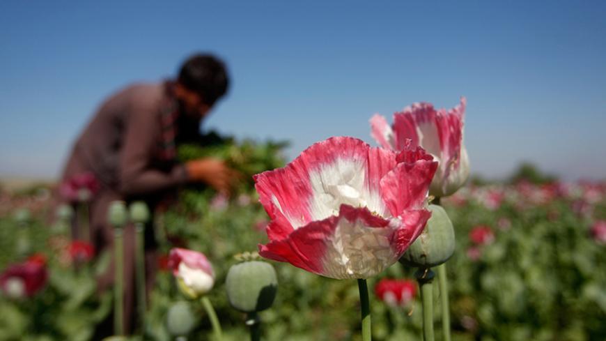 An Afghan man works on a poppy field in Jalalabad province April 17, 2014. Afghanistan is the world's top cultivator of the poppy, from which opium and heroin are produced. Despite more than a decade of efforts to wean farmers off the crop, fight corruption and cut links between drugs and the Taliban insurgency, poppy expanded to 209,000 hectares (516,000 acres) in 2013, up 36 percent from the previous year.  REUTERS/ Parwiz (AFGHANISTAN - Tags: DRUGS SOCIETY AGRICULTURE ENVIRONMENT) - RTR3LOO5