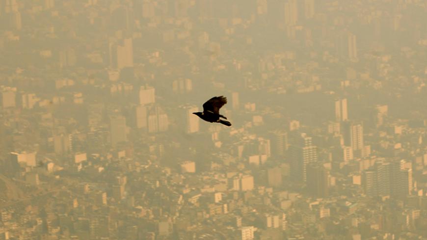 A bird flies through the polluted sky of Tehran January 25, 2007. REUTERS/Morteza Nikoubazl (IRAN) - RTR1LLY7