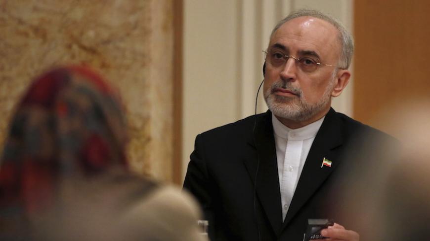 Iran's head of the country's Atomic Energy Organization, Ali Akbar Salehi attends a seminar at the Japan Institute of International Affairs in Tokyo, Japan, November 5, 2015. Iran has begun shutting down uranium enrichment centrifuges under the terms of a deal struck with six world powers in July on limiting its nuclear programme, Tehran's atomic energy chief said on November 2, 2015 during a visit to Tokyo.  REUTERS/Yuya Shino - RTX1UTJP