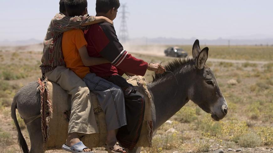 Village children sitting on their donkey watch a car pass during a rally on the outskirts of Mashad, 924 km (574.1 miles) east of Tehran,  July 12, 2007.  REUTERS/Caren Firouz  (IRAN) - RTR1RS31