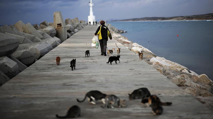 Anessa, a Jewish immigrant from Russia, walks at the marina after feeding cats in the southern city of Ashkelon December 7, 2009. REUTERS/Amir Cohen (ISRAEL ANIMALS SOCIETY) - RTXRL20
