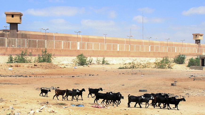 Goats roam outside the Borg al-Arab prison in Alexandria, 230 km (143 miles) north of Cairo, September 4, 2013. Ousted Egyptian leader Mohamed Mursi struck a defiant tone on the first day of his trial on Monday, chanting 'Down with military rule', and calling himself the country's only 'legitimate' president. Mursi, an Islamist who was toppled by the army in July after mass protests against him, appeared angry and interrupted the session repeatedly, prompting a judge eventually to adjourn the trial, which b