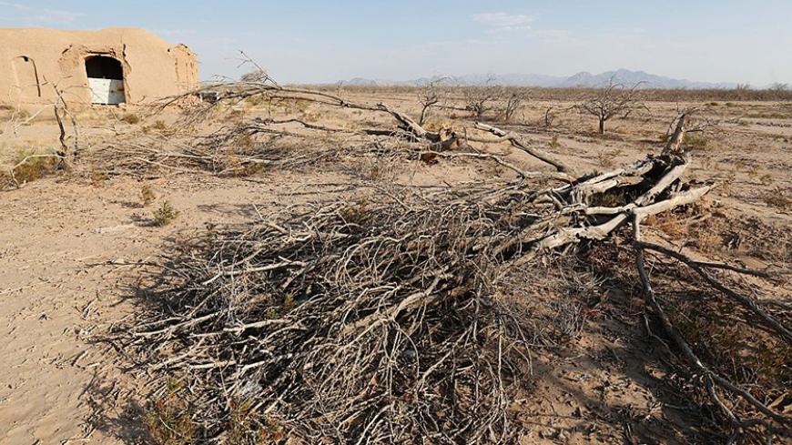 A picture taken on August 14, 2016 in a abandoned village near the southern Iranian city of Sirjan shows dead pistachio trees at a field that farmers left behind due to the lack of water.
The pistachio trees at the village in southern Iran are long dead, bleached white by the sun -- the underground water reserves sucked dry by decades of over-farming and waste. The last farmers left with their families 10 years ago, and the village has the look of an abandoned Martian colony. / AFP / ATTA KENARE / TO GO WIT