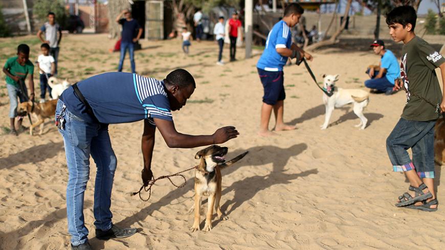 Palestinian man Saeed el-Aer (L) trains stray dogs with other boys on the property of the organisation he helped set up, the Sulala Society for Training and Caring for Animals, in Zahra, south of Gaza city July 17, 2016. Picture taken July 17, 2016. REUTERS/Ibraheem Abu Mustafa - RTSIUK4