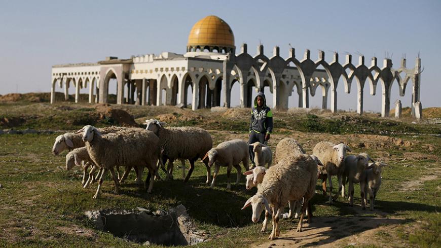 A Palestinian boy herds sheep in front of the ruins of Yasser Arafat International Airport, which was bombed by Israel in the past, in Rafah in the southern Gaza Strip February 5, 2016. Nabil Shurafa's travel agency in Gaza was once packed with clients booking flights to London, Paris, New York or cities across the Arab world. These days, he's lucky if anyone comes in, as so few people can get out. REUTERS/Ibraheem Abu Mustafa   - RTX25KVS