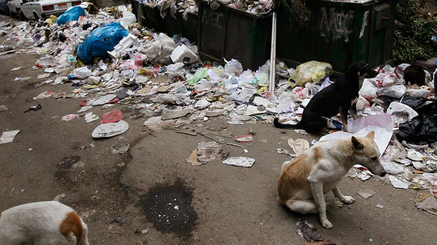 CAIRO, EGYPT - FEBRUARY 10:  Dogs mill about near unemptied trash bins on a downtown street Feburary 10, 2011 in Cairo, Egypt.  Despite an attempt to return to normal, many essential services have been diminished or put on hold in the Egyptian capital, as an anti-government protest movement  has shook the Egyptian nation.  (Photo by Chris Hondros/Getty Images)
