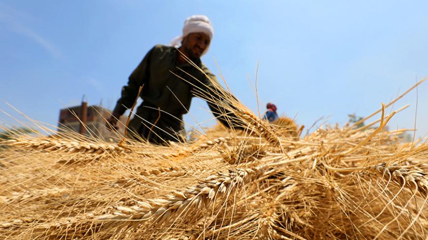 A farmer harvests wheat crop on a field in the El-Menoufia governorate, north of Cairo, Egypt May 16, 2017. Picture taken May 16, 2017. REUTERS/Mohamed Abd El Ghany - RTX3839O
