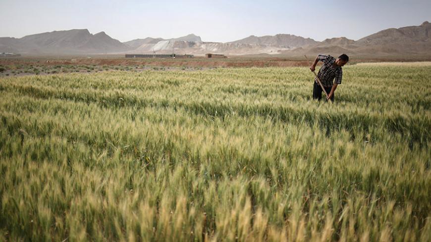 MEYMEH, IRAN - JUNE 03:  Farmer Abbas Hamamian works his wheat field on June 3, 2014 in Meymeh, Iran. He said he has owned the 4-hectare farm for 15 years, and this year's rains have been good for his crop. Iran is marking the 25th anniversary of the death of the Ayatollah Khomeini and his legacy of the Islamic Revolution.  (Photo by John Moore/Getty Images)