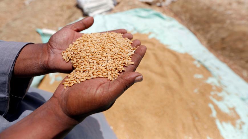 An Egyptian farmer holds a handful of freshly harvested wheat grains during the launch of the Government's local wheat harvest at a field in Beni Suef, south of Cairo, Egypt April 24, 2017. REUTERS/Amr Abdallah Dalsh - RC1375790070