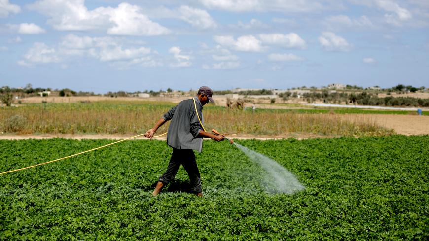 A Palestinian farmer waters the field in Khan Yunis town in the southern Gaza Strip, on September 25, 2013. AFP PHOTO / MOHAMMED ABED        (Photo credit should read MOHAMMED ABED/AFP/Getty Images)