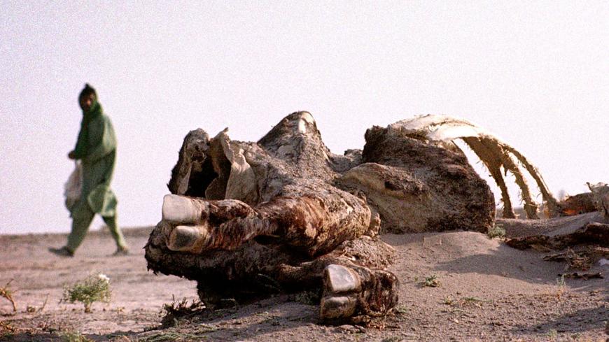 A man walks past the partially sand covered carcass of a cow in the dried up bed of the Hamoon lake outside Zabol, Iran July 17, 2001 which has dried up after 3 consecutive years of drought in southeastern Iran.  The local government in Iran's Sistan-Baluchistan province has started a massive job-creating campaign to keep drought-stricken farmers from migrating to the cities. - PBEAHUKZGCL