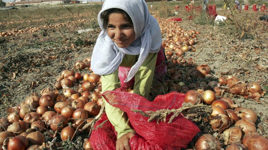 A young migrant worker collects onions during a harvest in Omerlerkoy village, 20 km (12 miles) southwest of Ankara, August 17, 2006. Settlements of plastic tents supported by wooden poles sprout up across the Turkish countryside during the harvest months, when an estimated 6 million workers travel long distances to work on commercial farms. Picture taken August 17, 2006. To match feature TURKEY-MIGRANTS  REUTERS/Umit Bektas (TURKEY) - GM1DTVAITJAA