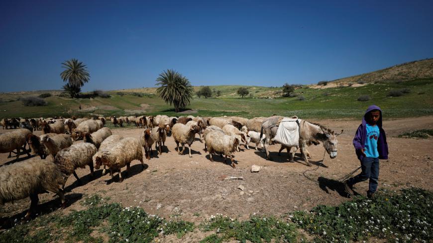 A Palestinian boy herds sheep in Jordan Valley in the occupied West Bank March 13, 2018. Picture taken March 13, 2018. REUTERS/Mohamad Torokman - RC19262A7450