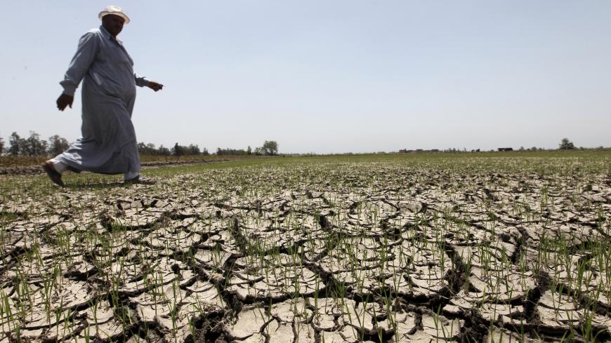 An Egyptian farmer walks past his crops damaged by drought in a farm formerly irrigated by the river Nile, in El-Dakahlya, about 120 km (75 miles) from Cairo June 4, 2013. Ethiopia has not thought hard enough about the impact of its ambitious dam project along the Nile, Egypt said on Sunday, underlining how countries down stream are concerned about its impact on water supplies. The Egyptian presidency was citing the findings of a report put together by a panel of experts from Egypt, Sudan and Ethiopia on th