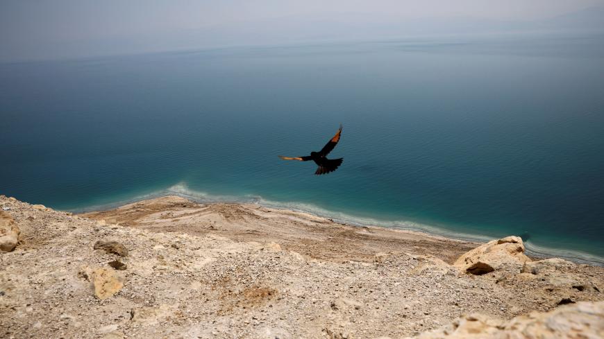 A bird flies near a cliff overlooking the Dead Sea, West Bank July 17, 2018. Picture taken July 17, 2018. REUTERS/Amir Cohen      TPX IMAGES OF THE DAY - RC1B8C1FC100