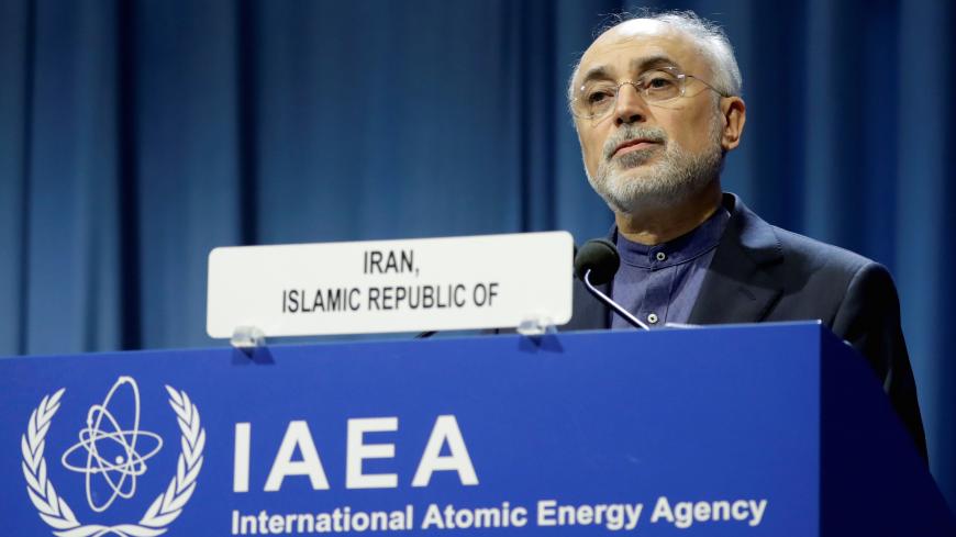 Head of Iran's Atomic Energy Organization Ali-Akbar Salehi attends the opening of the International Atomic Energy Agency (IAEA) General Conference at their headquarters in Vienna, Austria September 16, 2019.   REUTERS/Leonhard Foeger - RC1EAC65C1E0
