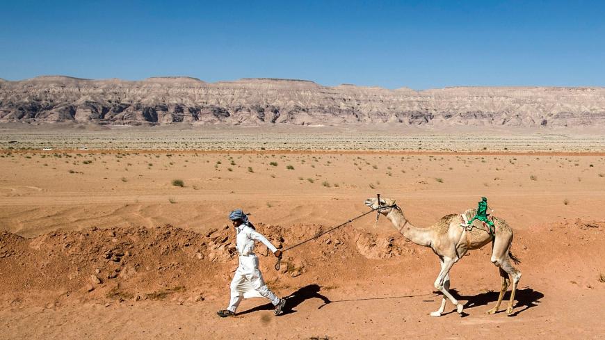 A Bedouin man runs with his camel as he prepares it to take part in a race in Egypt's South Sinai desert on September 12, 2020, after more than six month of hiatus due to the coronavirus outbreak. - Camel racing is a traditional sport in many Arab countries, most notably in the Gulf region, and in Egypt, bedouins of the South Sinai desert have kept up the tradition. But race events have been suspended since March following the COVID-19 outbreak, and orders only came down at the beginning of the month that t