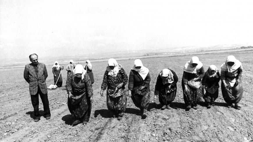 Turkish peasant women sow poppy seeds for opium in Turkey, 10/16/1974.(Photo by Express/Archive Photos/Getty Images)