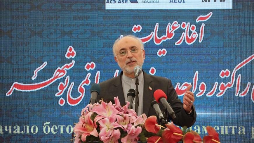 Iran's Atomic Energy Organization head Ali Akbar Salehi delivers a speech at an official ceremony to kick-start works for a second nuclear reactor at Bushehr power plant, on November 10, 2019. - Bushehr is Iran's only nuclear power station and is currently running on imported fuel from Russia that is closely monitored by the UN's International Atomic Energy Agency. (Photo by ATTA KENARE / AFP) (Photo by ATTA KENARE/AFP via Getty Images)