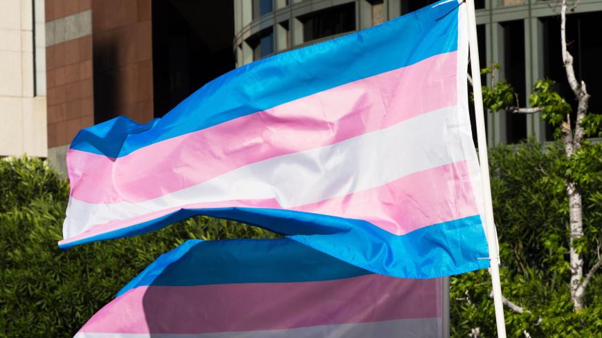 Trans pride flags flutter in the wind at a gathering to celebrate  International Transgender Day of Visibility, March 31, 2017 at the Edward R. Roybal Federal Building in Los Angeles, California. 
International Transgender Day of Visibility is dedicated to celebrating transgender people and raising awareness of discrimination faced by transgender people worldwide. / AFP PHOTO / Robyn Beck        (Photo credit should read ROBYN BECK/AFP via Getty Images)