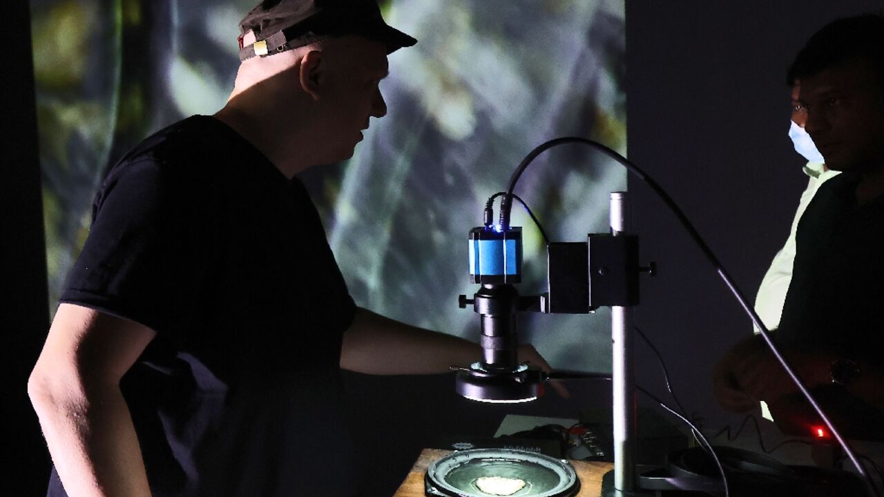 Bird song, insects chirping, the sound of wind over sand dunes -- all these form part of what Qatar-based Frenchman Guillaume Rousere calls his "sound art" 