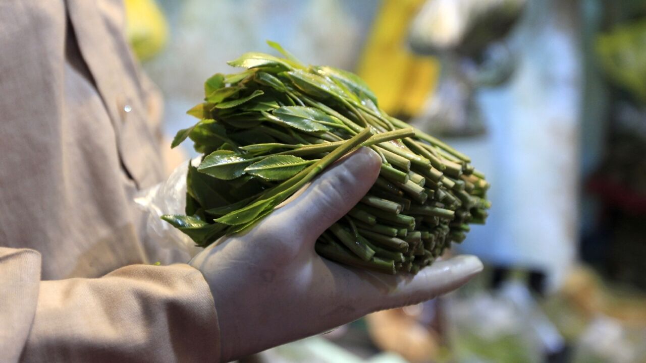 A bundle of khat, or qat, a mildly narcotic shrub, at a market in the Yemeni capital Sanaa on May 1, 2020