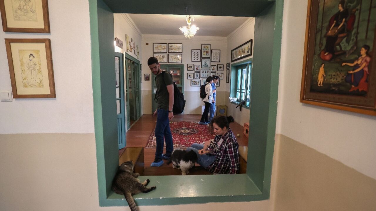 Welcome to Tehran's "meowseum", a privately funded exhibition space in the Iranian capital where some 30 felines roam freely alongside human visitors