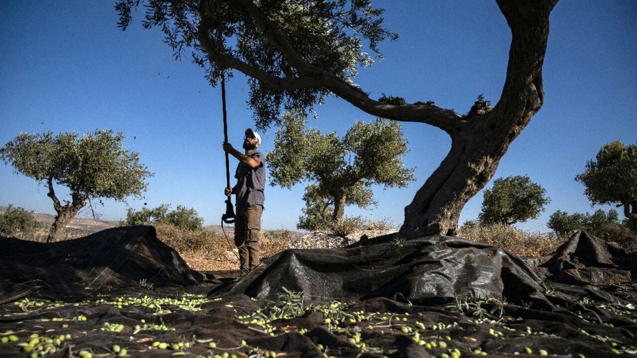 Since October 7, there has been a dramatic rise in assaults by Israeli settlers on Palestinians living in the West Bank