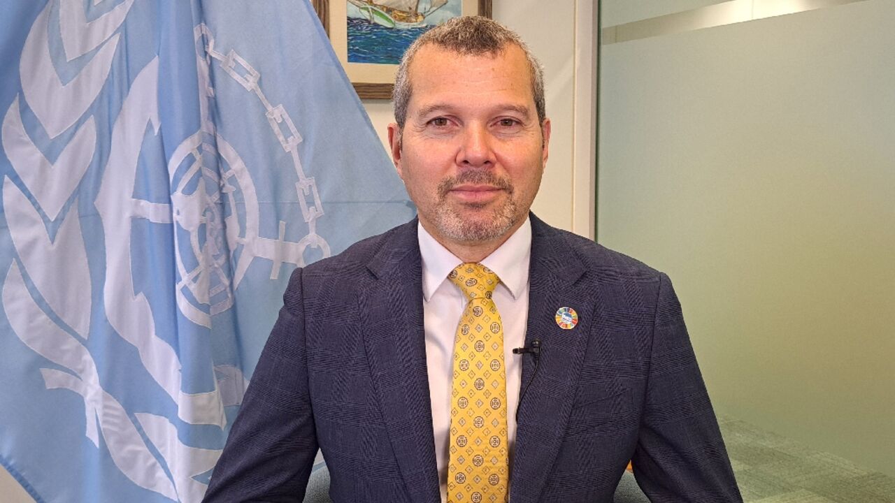 The IMO's objective is therefore to 'provide practical and operational measures so that ships can continue to operate',  Dominguez said 