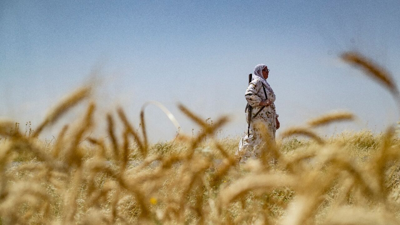 An armed Syrian Kurdish woman volunteer keeps watch in a wheatfield