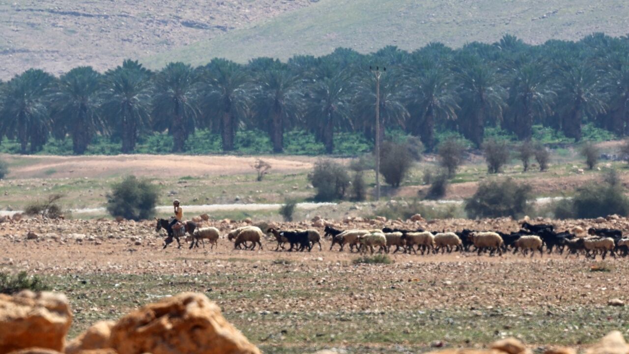 Throughout the Gaza war, violence in the West Bank -- a separate Palestinian territory -- has soared