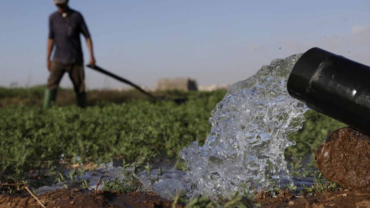 Farmers irrigate their field in the Chtouka region of southern Morocco