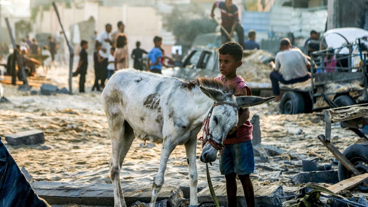 Gaza has been devastated by nearly two years of war, while UN agencies warned it is 'on the brink' of famine