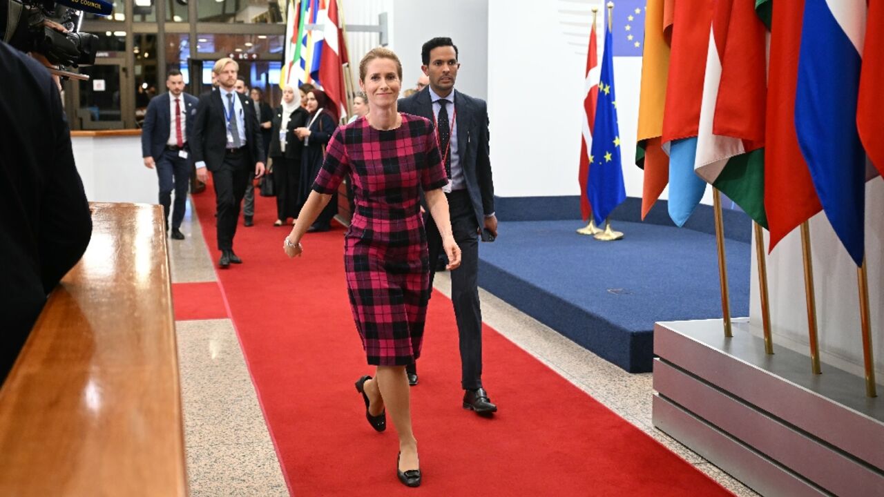 EU foreign policy chief Kaja Kallas has put forward a raft of options for action against Israel over the war in Gaza -- but EU foreign ministers will likely not agree on any