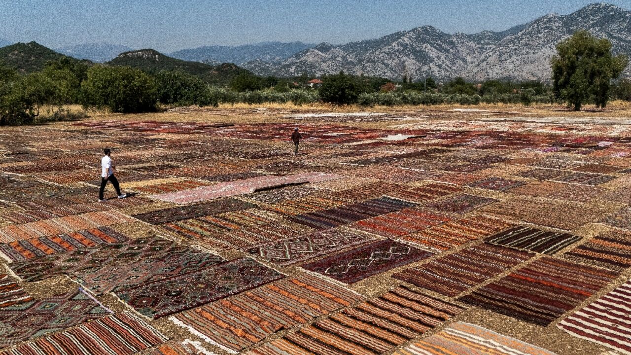 Tourists walk on handwoven carpet laid out in an open field to soften their colours under sizzling sun in coastal city Antalya's Dosemealti district