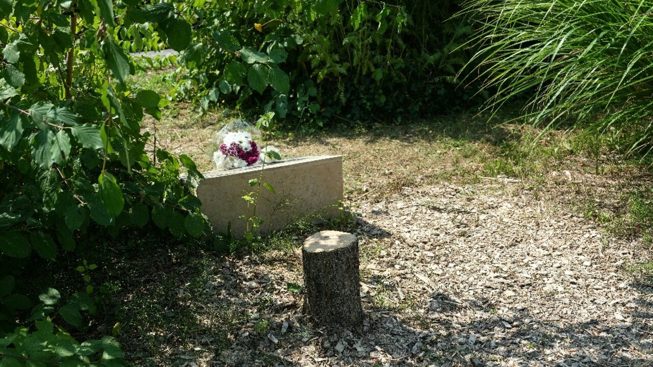 An olive tree, planted in 2011 in Ilan Halimi's memory, was cut down, probably with a chainsaw, in the northern Paris suburb of Epinay-sur-Seine