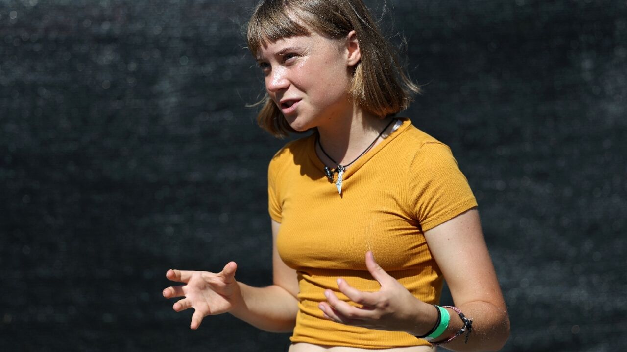 'It should not have to be up to us,' Thunberg told AFPTV