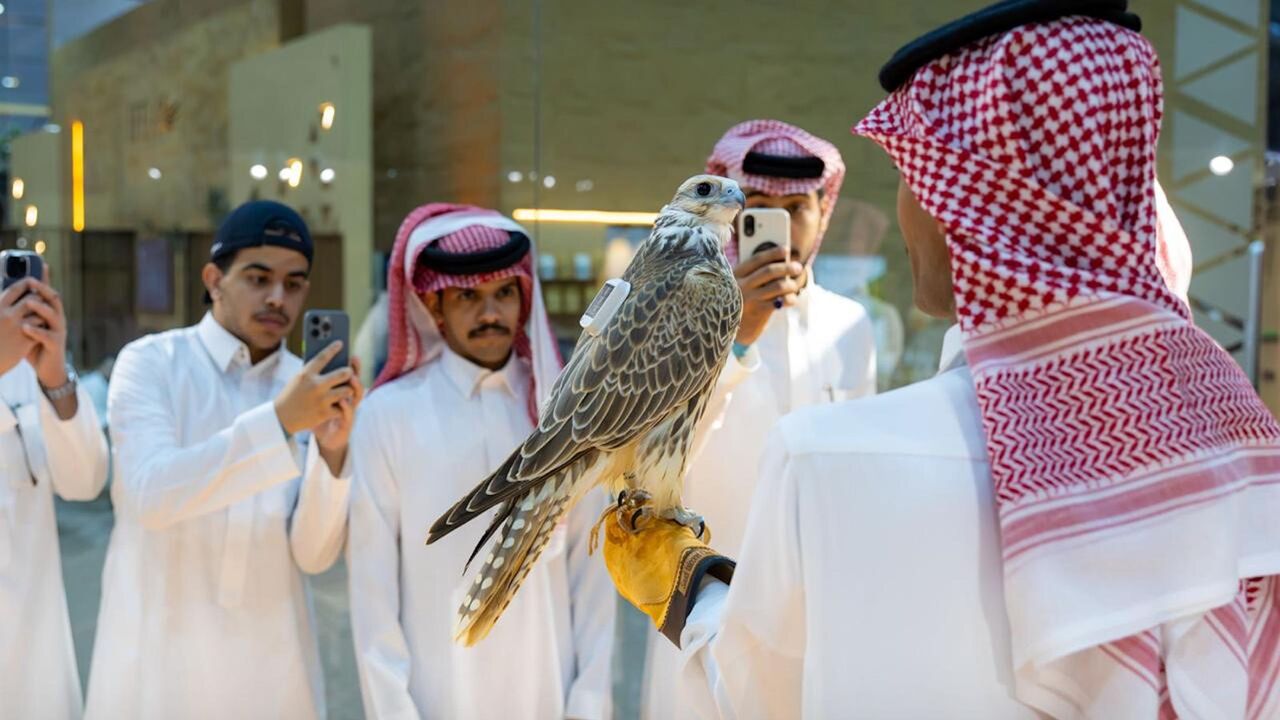Visitors at the first night of the International Falcon Breeders Auction 2025 in Malham city on Aug. 5, 2025.