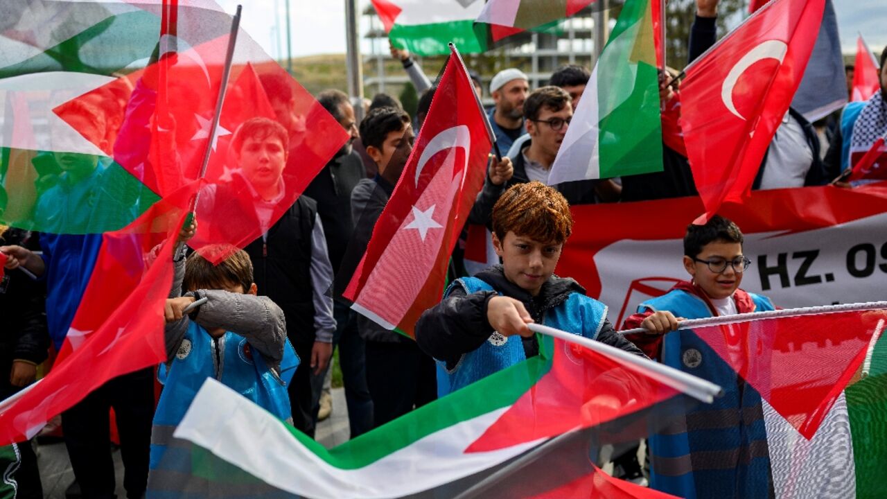 A flag-waving crowd gathered at Istanbul airport to welcome back the Gaza flotilla activists after they were deported from Israel 