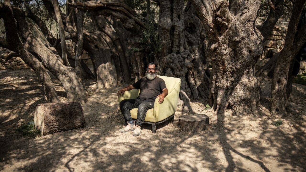 Italian and Japanese experts estimate the tree to be 3,000 to 5,500 years old