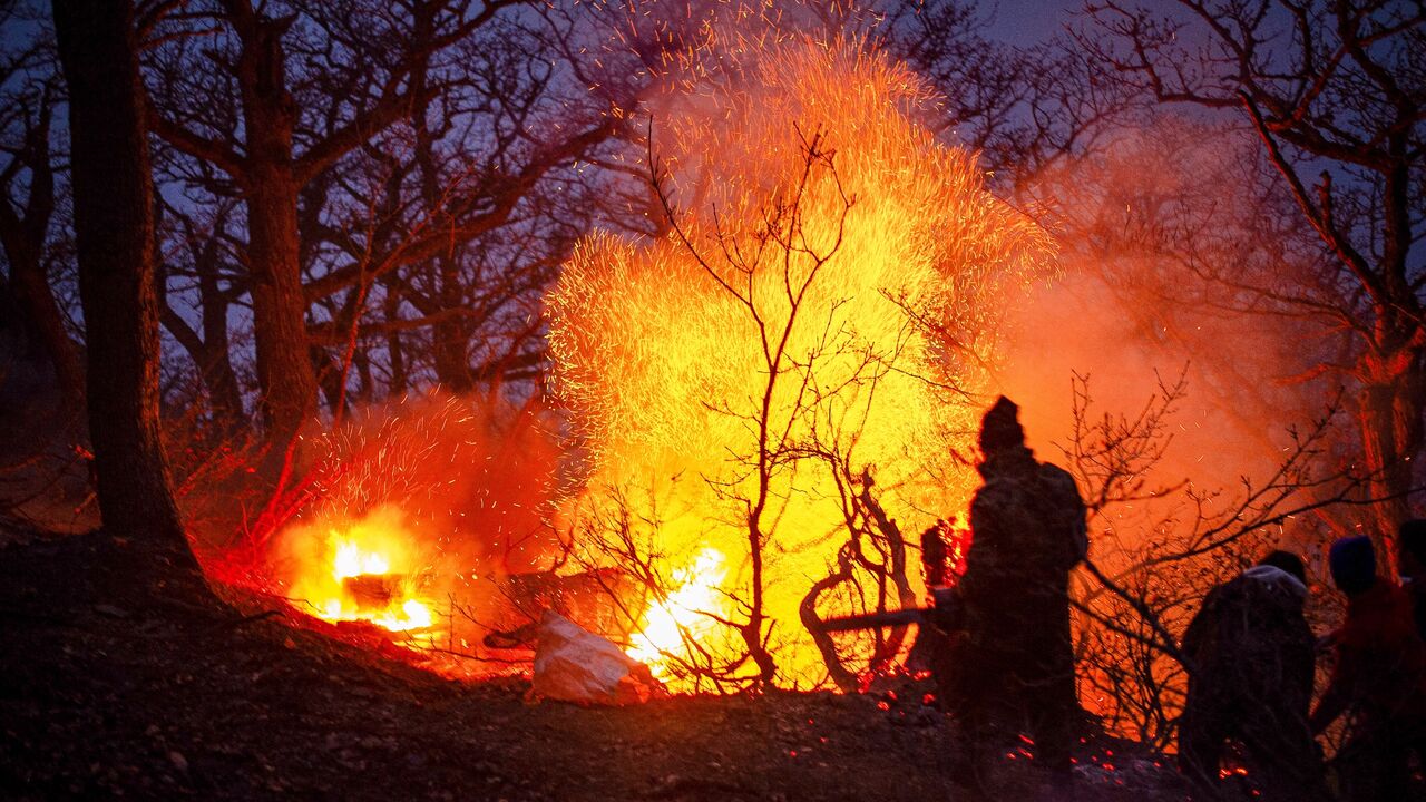 This picture obtained from Iran's ISNA news agency shows a view of the fire in the forests of Chalus on Nov. 21, 2025.